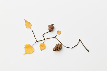 Image showing Autumnal leaves and twigs