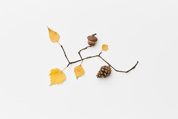 Image showing Autumnal leaves and twigs