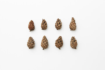 Image showing Cones in rows