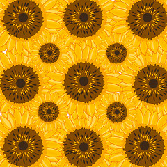 Image showing Decorative pattern from flower of the sunflower