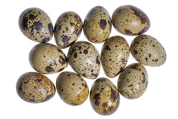 Image showing some quail eggs