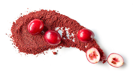 Image showing dried cranberry powder and fresh cranberries