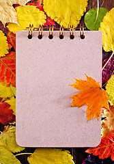 Image showing autumn leaves