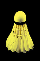 Image showing Shuttlecock