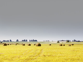 Image showing Yellow Mown Field Under Gray Sky - Rural Landscape