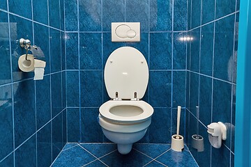 Image showing Toilet seat open