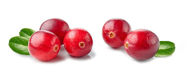 Image showing fresh red cranberries