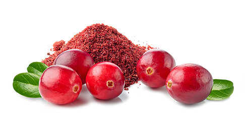 Image showing dried cranberry powder and fresh cranberries