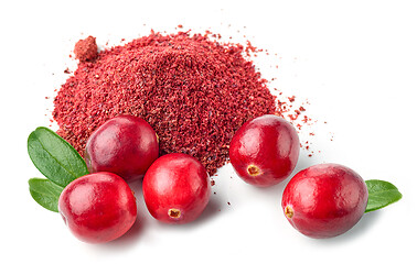 Image showing dried cranberry powder and fresh cranberries