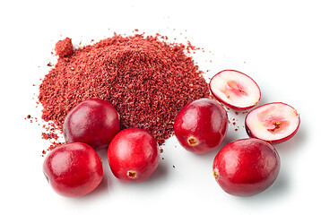 Image showing dried cranberry powder and fresh cranberries