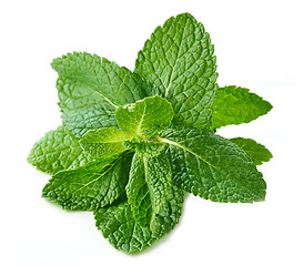 Image showing fresh green mint leaves