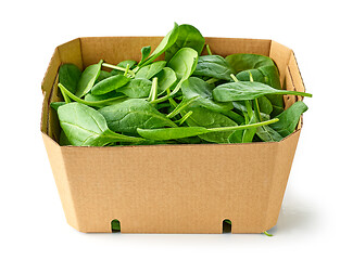 Image showing fresh green spinach leaves