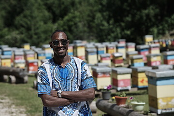 Image showing african beekeeper local black honey producer