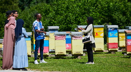 Image showing people group visiting local honey production farm