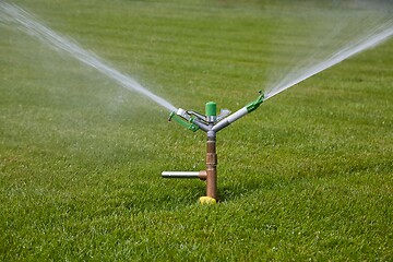 Image showing Garden sprinkler watering