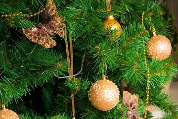 Image showing New Year's Tree Branch