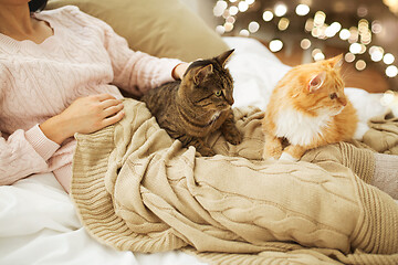 Image showing close up of owner with red and tabby cat in bed