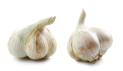 Image showing natural organic garlic