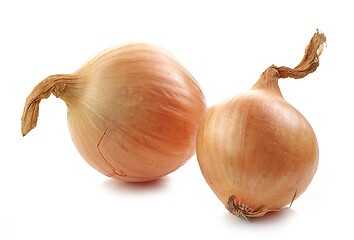 Image showing fresh raw onions