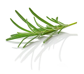 Image showing fresh green rosemary