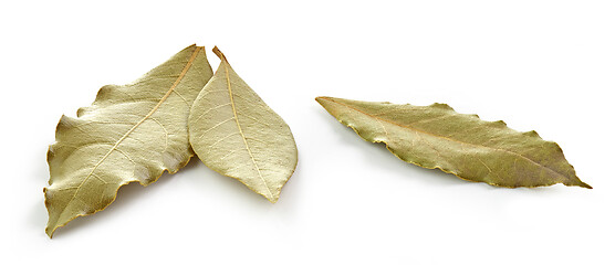 Image showing dried bay leaves