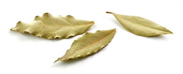 Image showing dried bay leaves