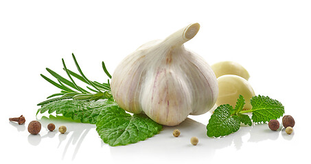 Image showing composition of garlic and spices