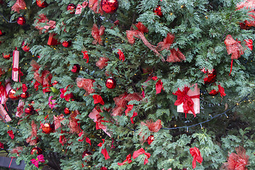 Image showing An ornament on a Christmas tree in a city park