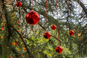 Image showing Christmas decoration with with red Christmas balls on a tree in 