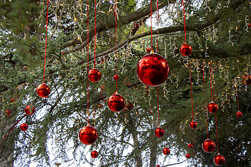 Image showing Christmas decoration with with red Christmas balls on a tree in 