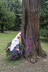 Image showing Small garden dwarf made of pine twigs as a Christmas decoration 