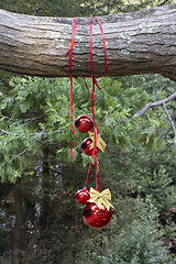 Image showing Christmas decoration with with red Christmas balls on a tree in 