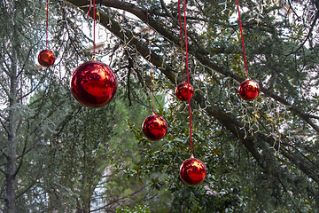 Image showing Christmas decoration with with red Christmas balls on a tree in 