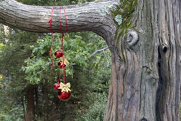 Image showing Christmas decoration with with red Christmas balls on a tree in 