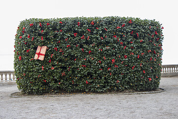 Image showing Christmas decorations on a tree in a city park