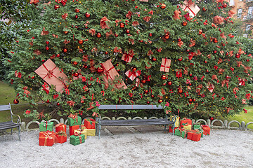 Image showing Christmas decorations on a tree in a city park