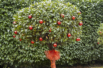 Image showing Christmas decorations on a tree in a city park