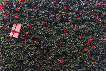 Image showing Christmas decorations on a tree in a city park