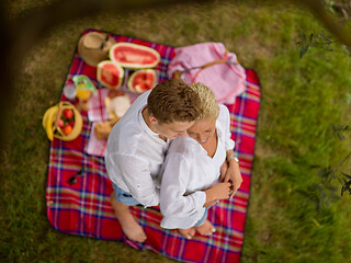 Image showing top view of couple enjoying picnic time