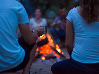 Image showing young friends relaxing around campfire