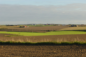 Image showing Landscape of Jylland