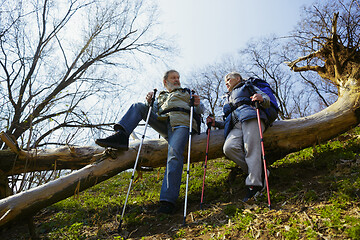 Image showing Travel and tourism. Family couple enjoying walk together