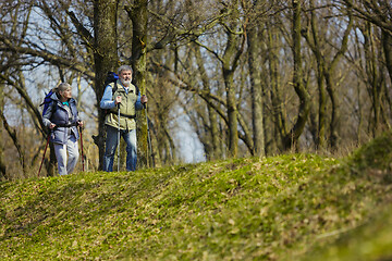 Image showing Travel and tourism. Family couple enjoying walk together