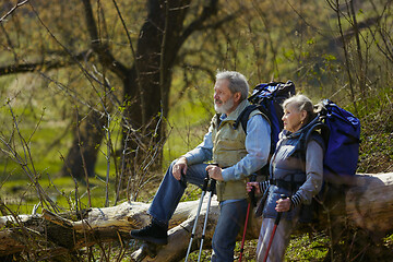 Image showing Travel and tourism. Family couple enjoying walk together