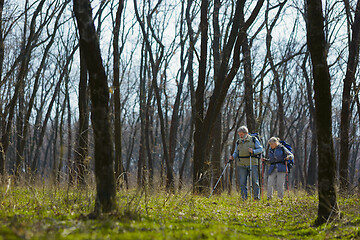 Image showing Travel and tourism. Family couple enjoying walk together