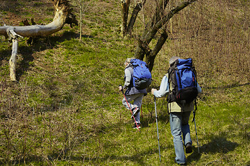 Image showing Travel and tourism. Family couple enjoying walk together