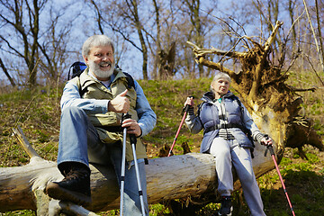 Image showing Travel and tourism. Family couple enjoying walk together