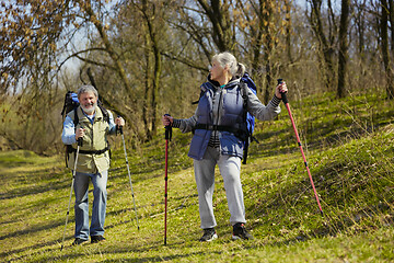 Image showing Travel and tourism. Family couple enjoying walk together