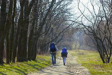 Image showing Travel and tourism. Family couple enjoying walk together