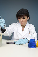 Image showing Scientist extracting sample